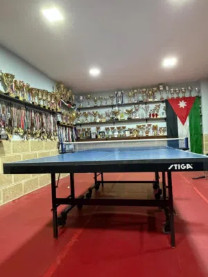 طاولة تنس طاولة للبيع