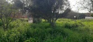 Farm Land for Sale in Casablanca Dar Bouazza
