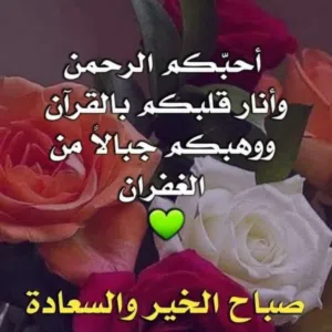 Basem Awadallah Awadallah