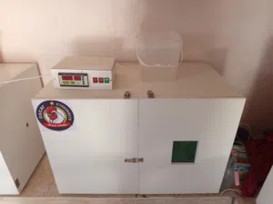 للبيع فقاسات بيض وحاضنات صيصان