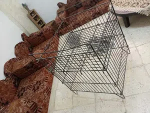 شبك وهكات وسله