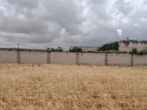 Residential Land for Sale in Ramtha Romtha