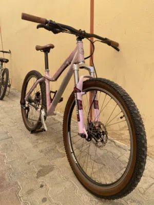 GIANT LIV (2019) Rebuild