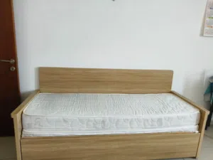 sofa cum bed