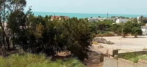 غار الملح بنزرت تونس