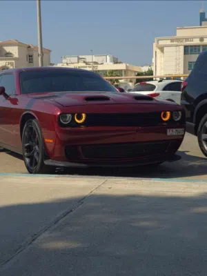 Dodge Challenger 2019 دودج تشالنجر موديل 2019  وارد كندا