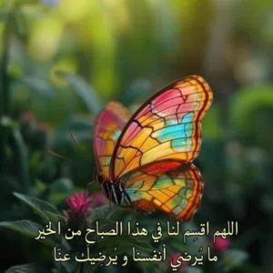 hatem 