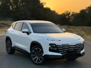Used Jetour Dasheng in Sharjah