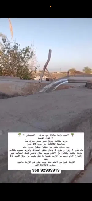 مزرعه متكامله بها ماء عذب وجاهزه ومسوره