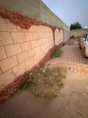 1 Bedroom Farms for Sale in Tripoli Wadi Al-Rabi