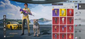 بيع حساب ببجي عالمي