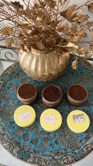 دقة البلوش مال عرايس