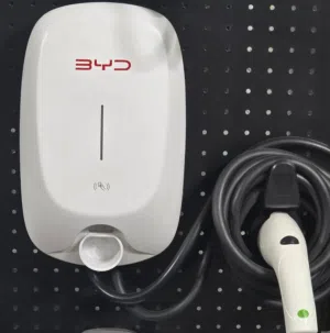 New BYD charger (Original) 32A