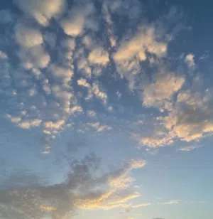 صالح جلال 