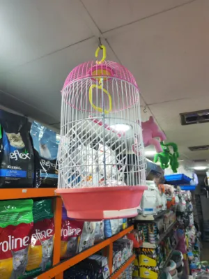 اقفاص طيور مناسبه لطيور الحب والجنه والفيشر والروز عليه سعر فقط سبع دنانير