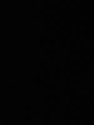 الي عندو كلب زينه للبيع بسعر طري يتواصل معي.