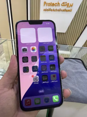 iPhone 13 Pro Max 1Tg