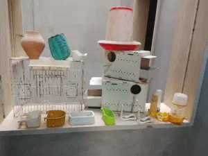 بضاعه اقفاص وشباك