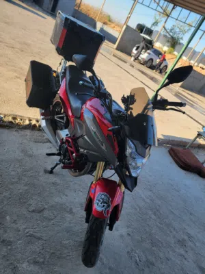 دراجة داينج ادفنشر ترخيص سنة