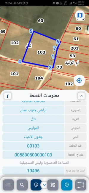 Farm Land for Sale in Amman Al Jizah