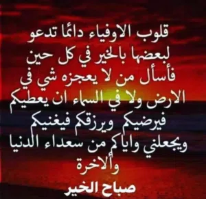 محمد شريف 