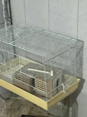 قفص ربي يبارك 3 احجام