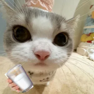 MaxFax 