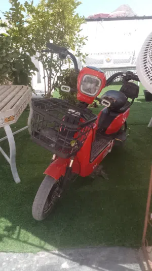 تركي الشعيبي 