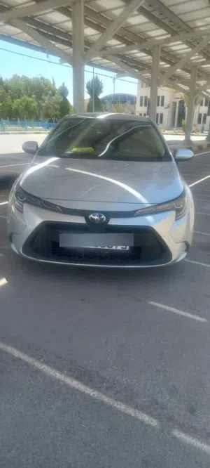 Used Toyota Corolla in Amman