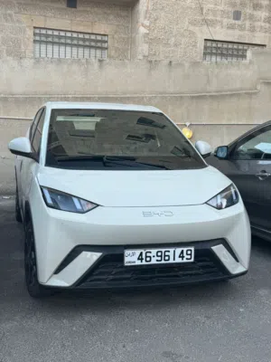 بي واي دي سيجال 2024 للبيع