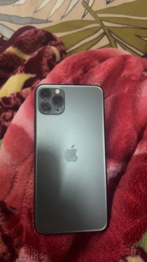 Apple iPhone 11 Pro Max 256 GB in Muscat
