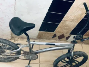 بسكويت كوبرا أمريكي