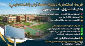 سيف العربي 