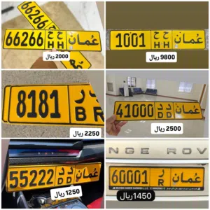 رقم رباعي للبيع 1001 رقم رباعي للبيع 8181