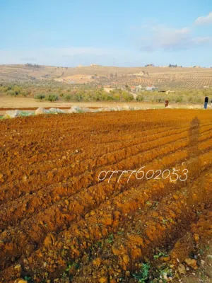 Farm Land for Sale in Jerash Unaybah