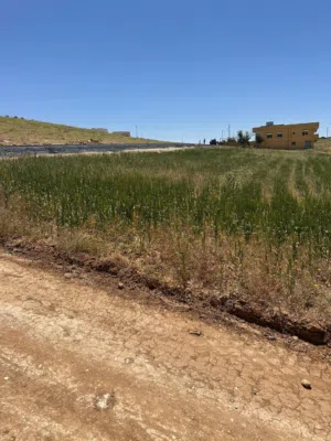 Farm Land for Sale in Madaba Other