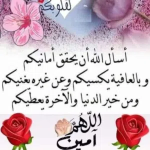 HAZIM HAMED 