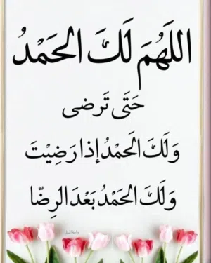 ابو ايهاب 