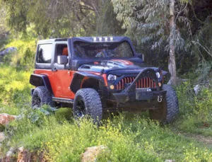 جيب-ريبكون-2015