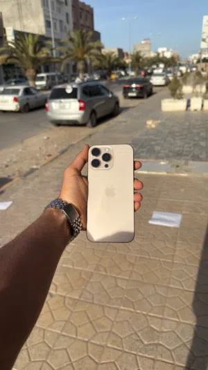 16 برو مكس