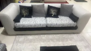 Sofa/ original wood dining table