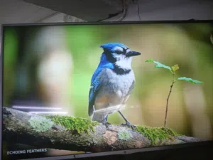 Lg Smart tv