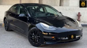 Tesla Model 3 Stander Plus 2022