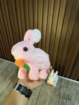 الأرنب الترند
