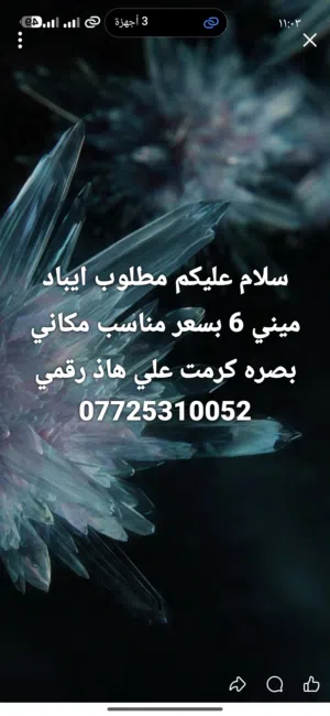 مطلوب ايباد ميني 6