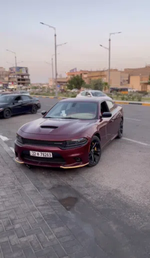 جارجر gt pulsموديل 22