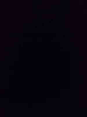 دانيه عرفان إبراهيم نعنيش 