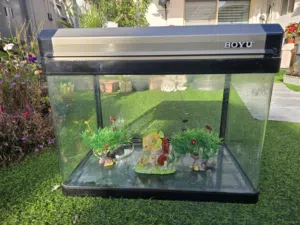 حوض سمك مع جميع المعدات  fish tank