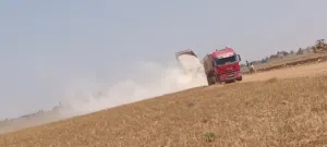 قطعة ارض في ام مبروكة للبيع