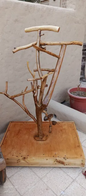 ستاندات طيور حسب الطلب